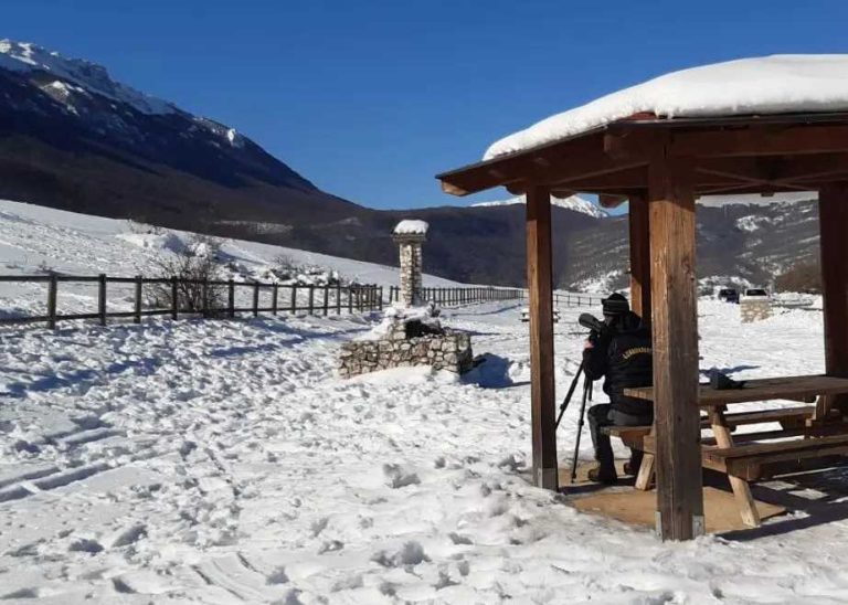 Continua tra la neve il monitoraggio dei camosci appenninici reintrodotti sul massiccio del Sirente