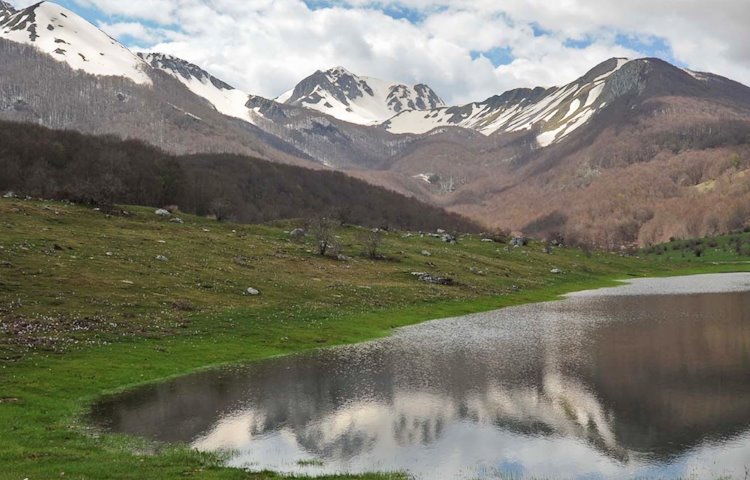 Cambiamenti climatici