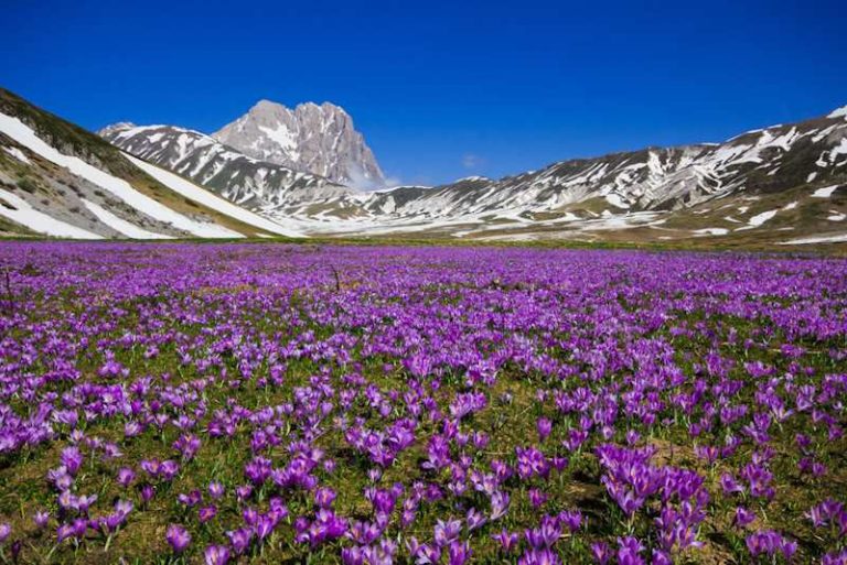 Turismo di montagna