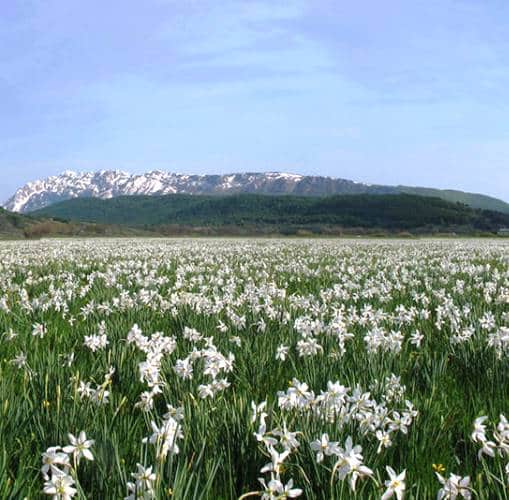 Il Parco Sirente Velino alla TTG di Rimini: "Promuoviamo un territorio in crescita"|