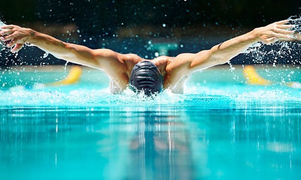 Pinguino Nuoto: convegno su nutrizione e allenamento degli atleti con il presidente Malagò