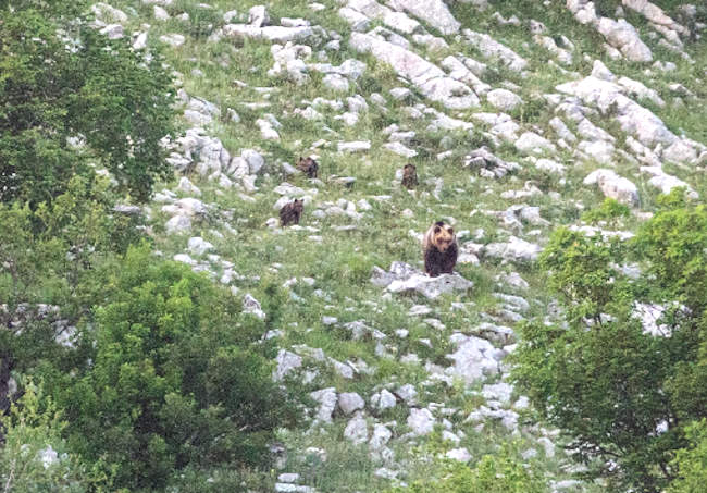 "Quando sei in natura muoviti con rispetto"