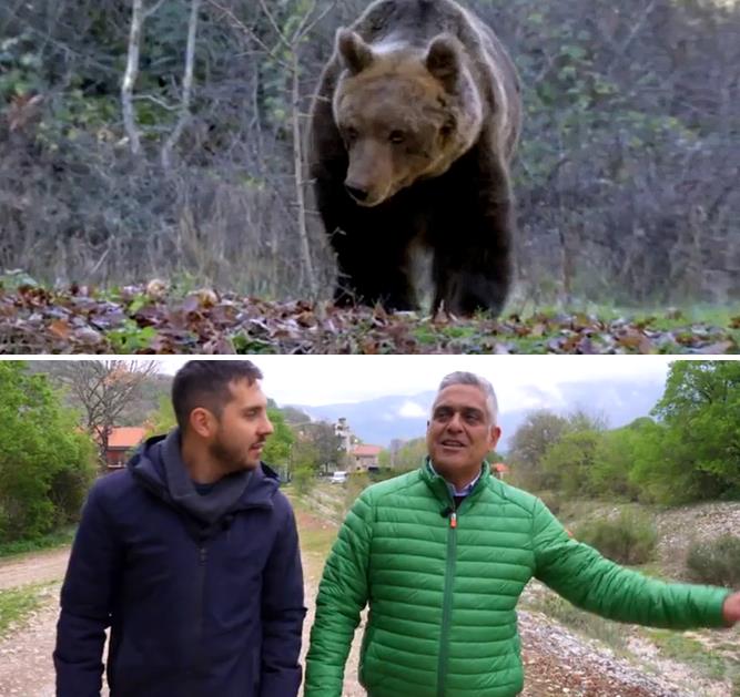 Convivere con l'orso a Lecce nei Marsi