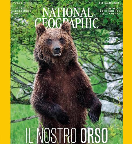 L'orso bruno marsicano sulla copertina del National Geographic con gli scatti del fotografo marsicano Bruno D'Amicis|||||