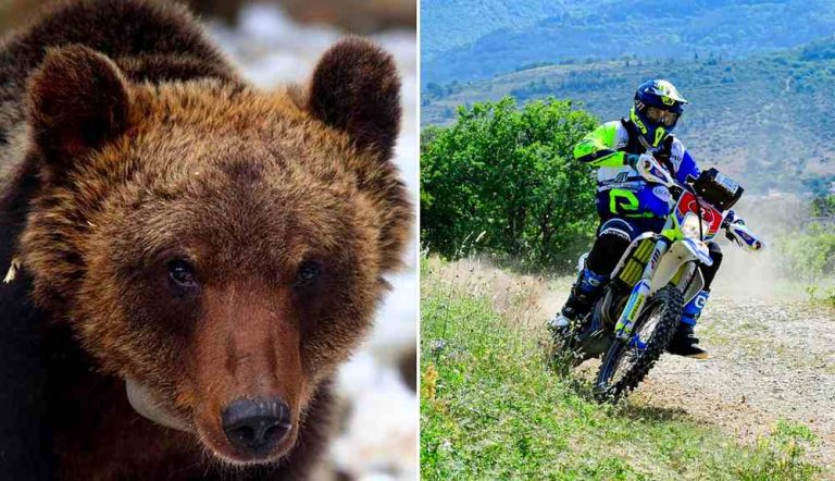 Motorally nella Zona Speciale di Conservazione "Parco Nazionale d'Abruzzo"