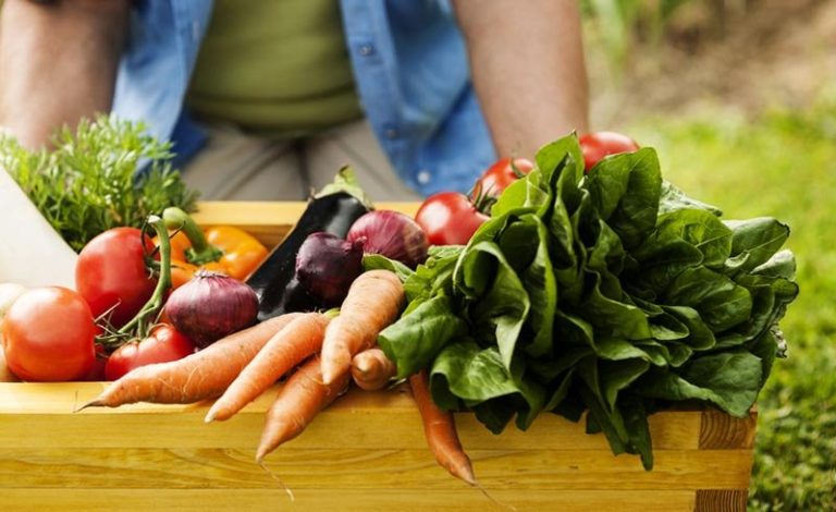 "Fucino a tavola... i sapori della terra"