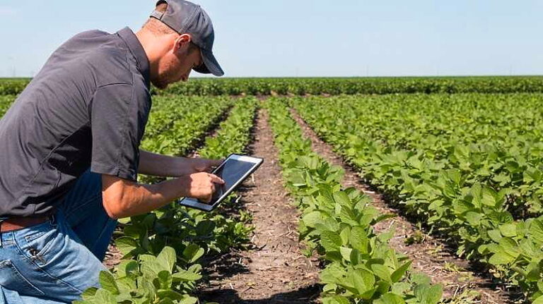 Covid. Coldiretti: al via in Abruzzo la corsa all'Oscar Green 2021 per giovani imprenditori agricoli