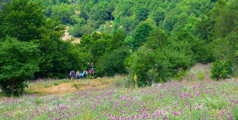 Un libro in regalo se raccogli rifiuti: iniziativa per i visitatori del Parco Nazionale d'Abruzzo