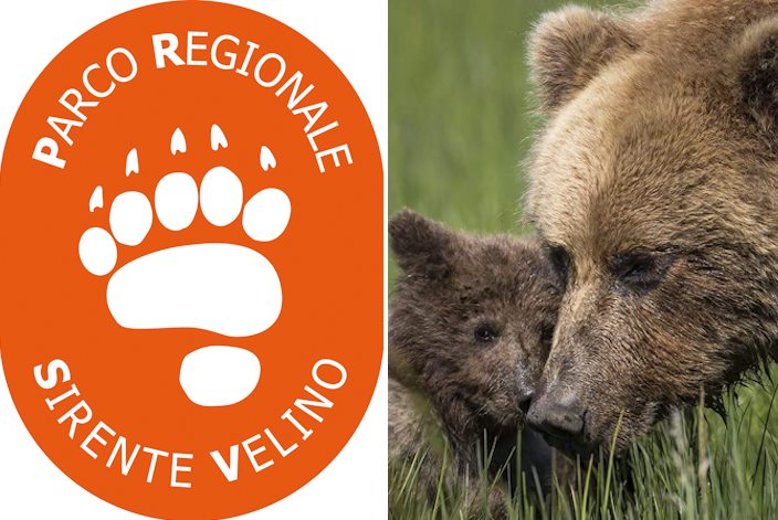 C'è l'impronta dell'orso bruno marsicano nel nuovo logo del Sirente Velino Park