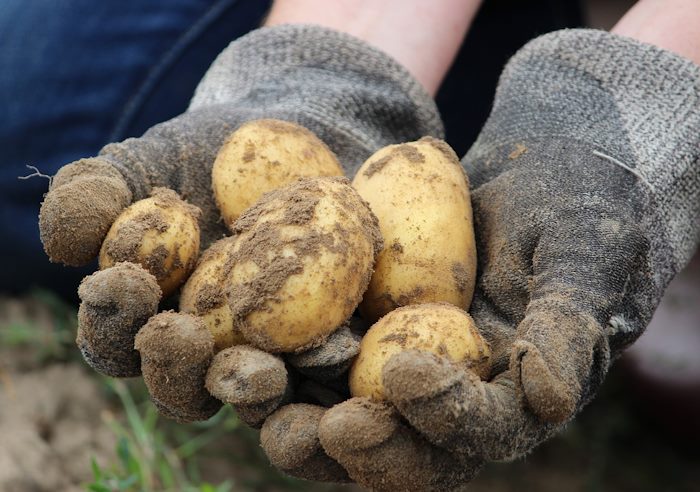 Formazione addetti alle imprese operanti in agricoltura