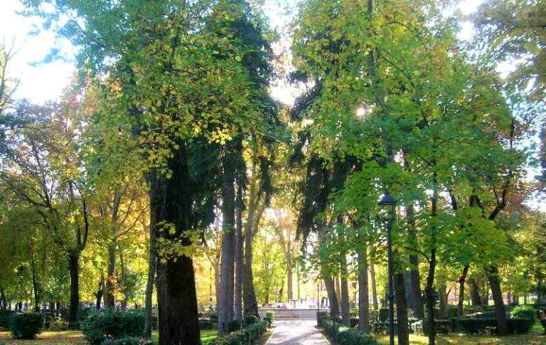 Manutenzione di Piazza Torlonia: cura del verde pubblico e inclusione sociale si incontrano nel progetto di Micron e Comune di Avezzano