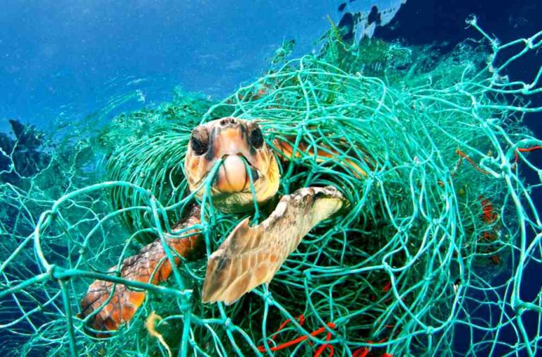 La Giornata Mondiale per l'Ambiente 2023 è dedicata alla lotta all'inquinamento da plastica