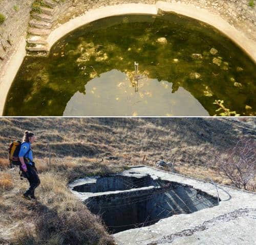 Sopravvivenza dell'orso in Appennino: pozzi o vasche di raccolta acqua rappresentano un pericolo