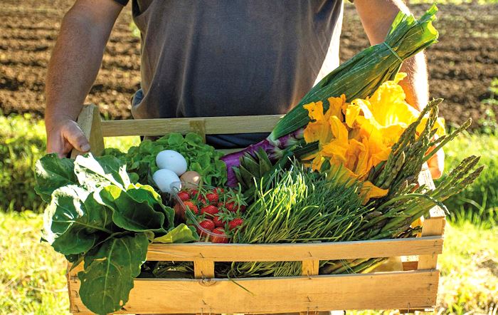 Contratti di sviluppo agroalimentari: dal 20 Ottobre invio domande per le agevolazioni