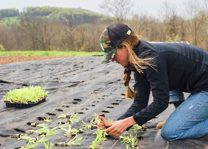 Aiuti all'avviamento di attività imprenditoriali per i giovani agricoltori: finanziamenti dalla Regione Abruzzo