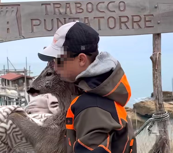 Un 14enne abruzzese si tuffa in mare per salvare un capriolo investito