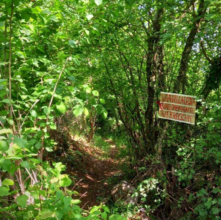 Riaperto l'antico sentiero "della legna" tra Villa San Sebastiano a Verrecchie||