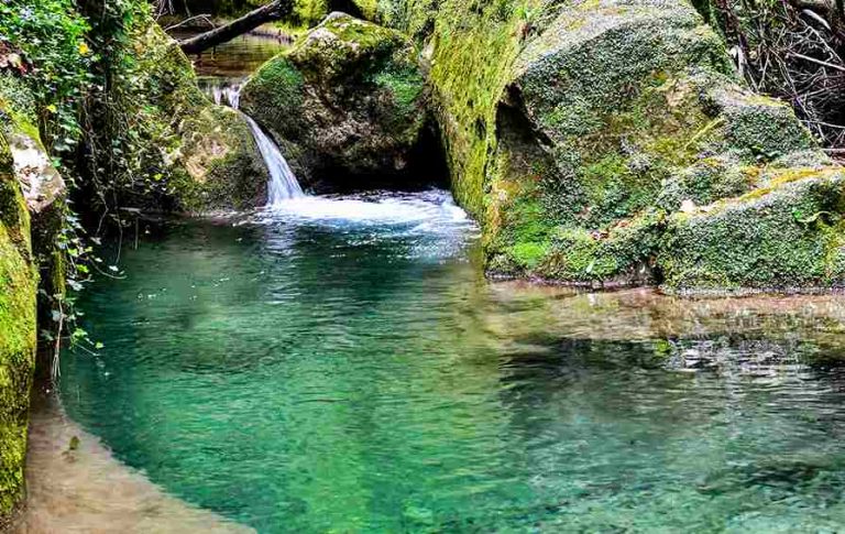 Giornata mondiale dell'acqua