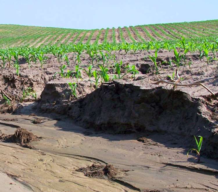 Contributi a imprese agricole e forestali per interventi di messa in sicurezza del suolo