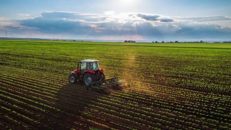 La Regione concede un supplemento di gasolio agricolo per le colture che hanno subito danni a seguito delle piogge alluvionali