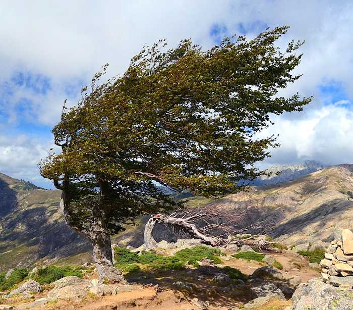 Venti fino a 200 km/h sulle nostre montagne