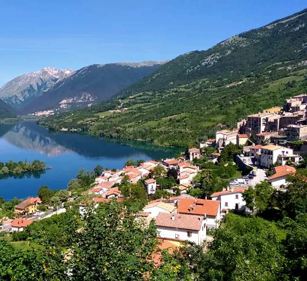 A rischio la Pineta di Villetta Barrea: nasce un Comitato Civico che dice no al taglio di 3410 pini