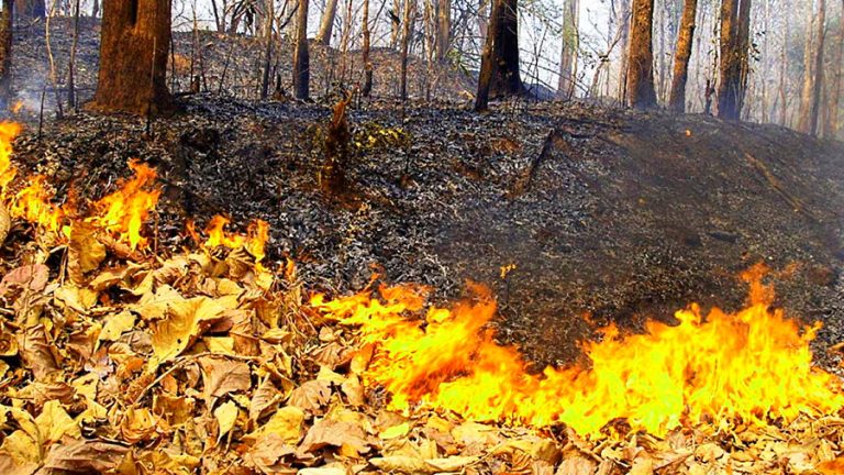 Allerta incendi ad alta criticità per la giornata di domani in provincia dell'Aquila