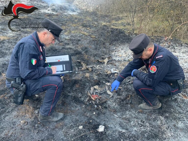 Stagione antincendio boschivo 2024: partita l'attività dei Carabinieri forestali di Abruzzo e Molise