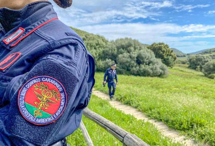 Utilizzo abusivo dell'acqua: la Regione Abruzzo sottoscrive accordo operativo con i Carabinieri Forestale