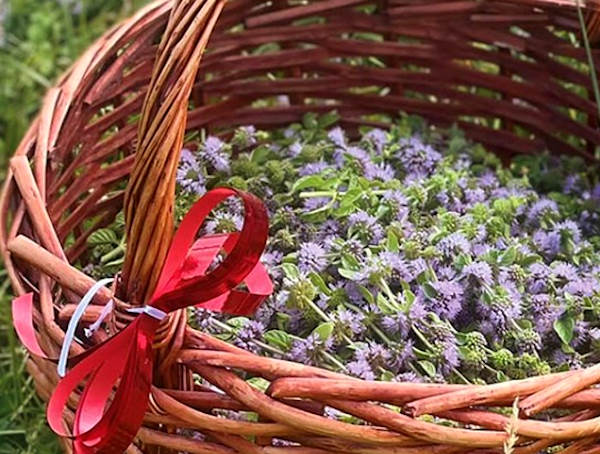 Torna a Casali d'Aschi la Sagra del Piliero: un appuntamento imperdibile per gli amanti del gusto