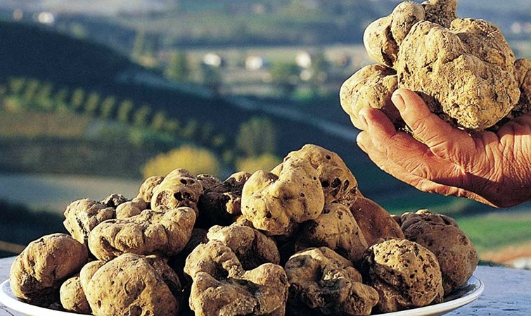 Festa del Tartufo a Sante Marie