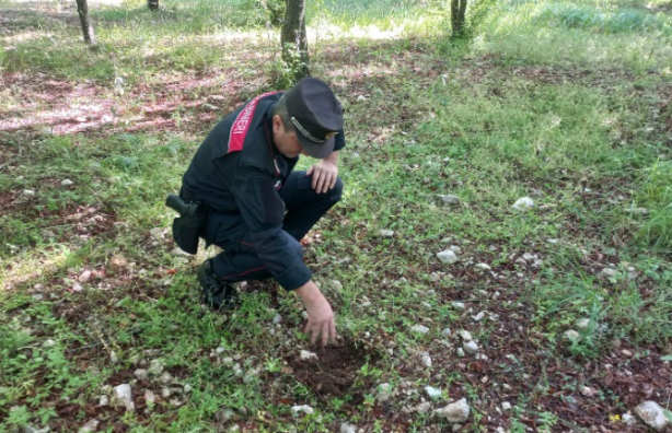 Carabinieri Forestali,