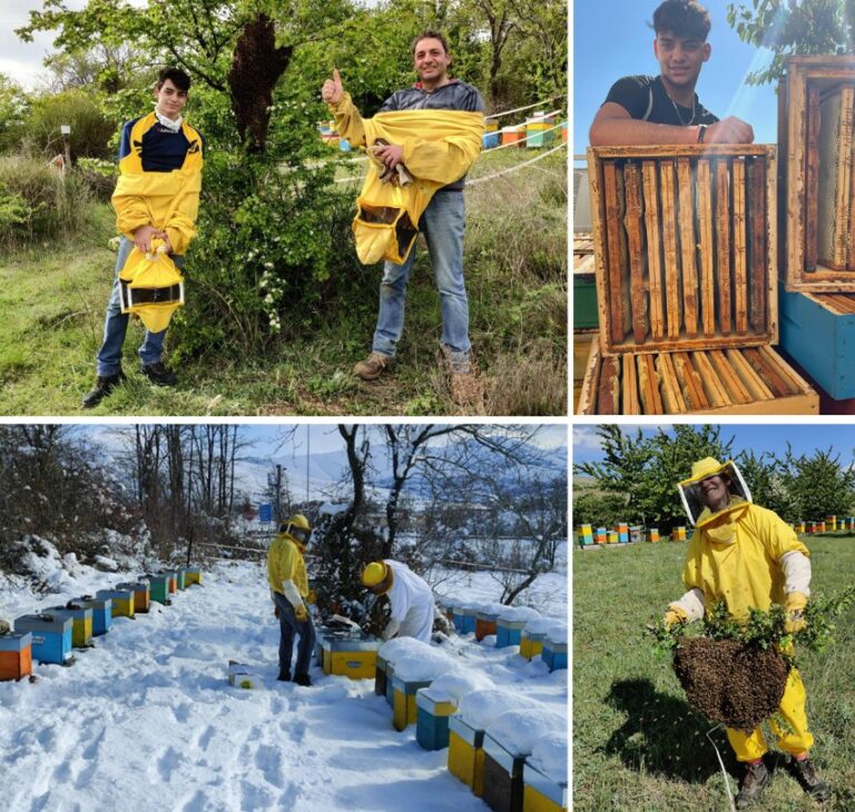 Il miele di Pescina premiato tra i migliori d'Italia, l'apicoltura Dolce Lavanda trionfa al Tre Gocce d'Oro