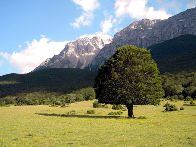 Il Parco Sirente Velino si fa in immagine: un concorso fotografico per il calendario 2025