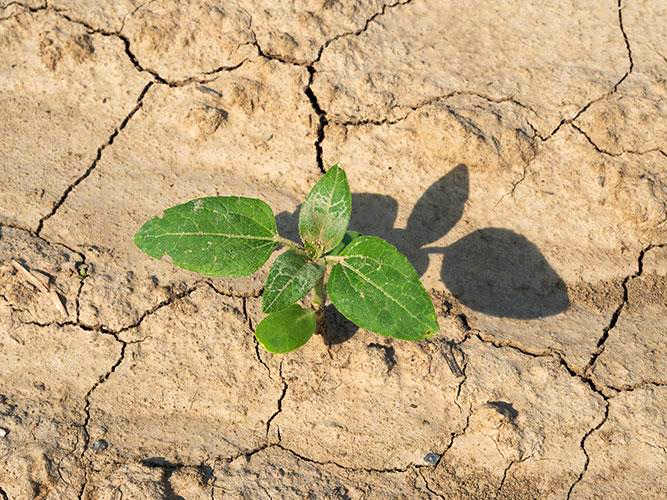 Siccità in Abruzzo, la Confederazione Italiana Agricoltori chiede lo stato di calamità