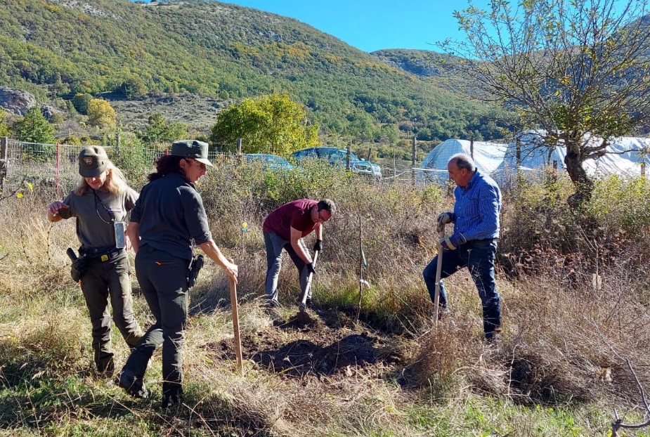 "Pianta un Melo, Aiuta un Orso”, una giornata tra natura, cultura e solidarietà a Bisegna