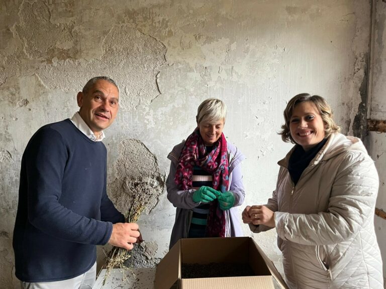 Sacchetti di lavanda dell'Oasi "Don Antonio Sciarra": Azione Cattolica al lavoro presso la Parrocchia di Madonna del Passo