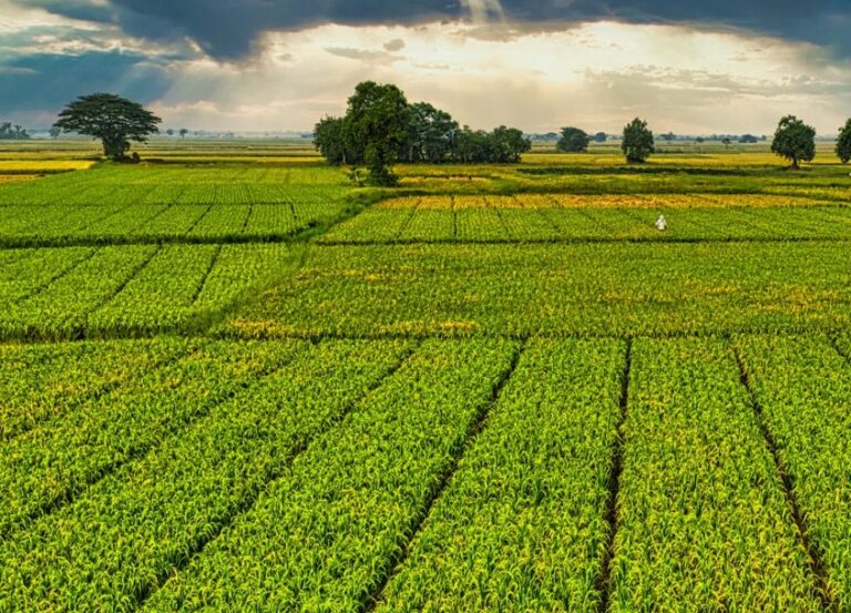 G7 dell'Agricoltura a Luco dei Marsi