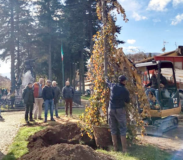 Futuro più verde per Pescasseroli: la comunità si unisce per creare un nuovo "giardino botanico"