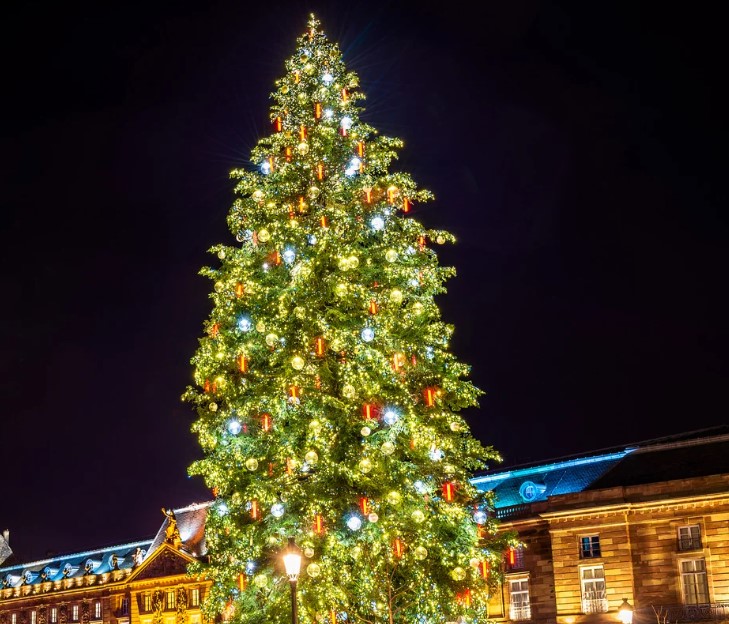 a Luco dei Marsi torna lo scintillante "Natale sotto l'Albero"