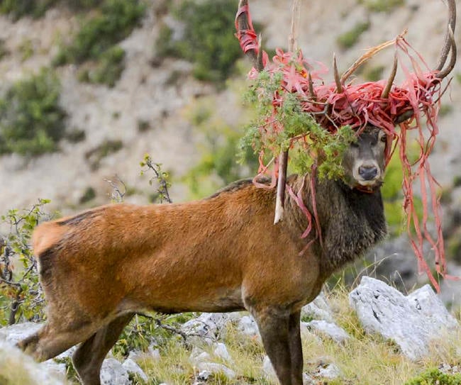 Disponibile online il Calendario 2025 del Parco regionale Sirente Velino