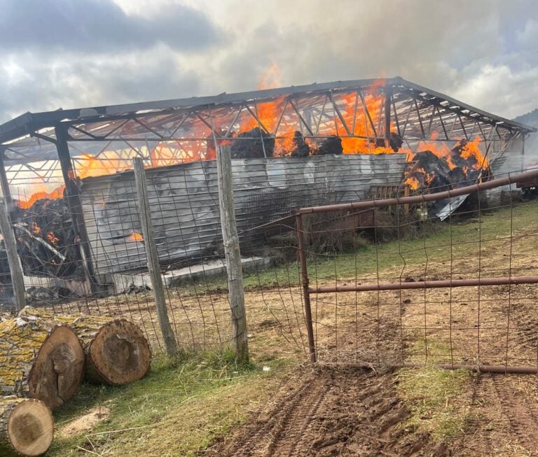 Incendio in un'azienda agricola: proprietario gravemente ustionato nel tentativo di spegnere le fiamme