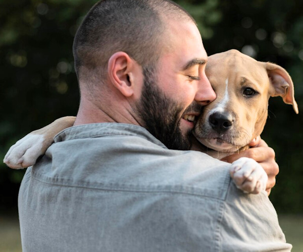 L'Abruzzo nomina il Garante regionale per i diritti degli animali: aperte le candidature