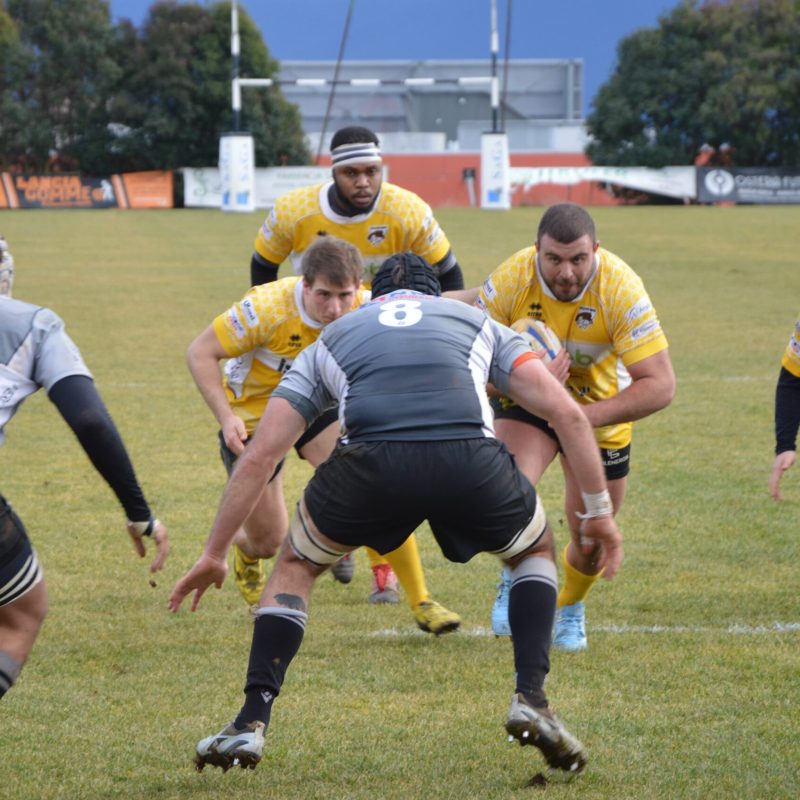 Isweb Avezzano Rugby