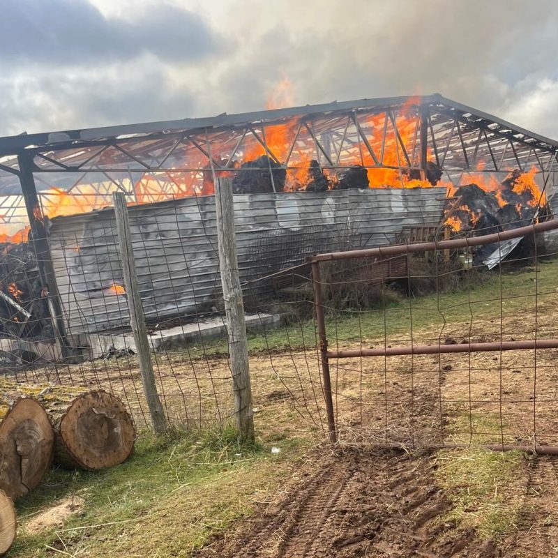 Incendio in un'azienda agricola: proprietario gravemente ustionato nel tentativo di spegnere le fiamme