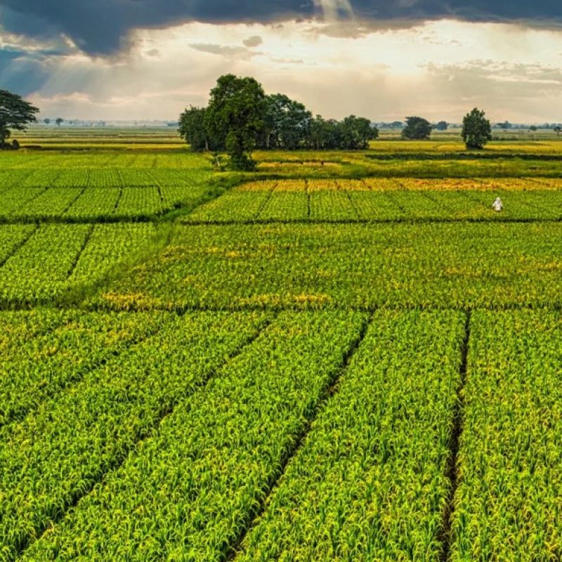 G7 dell'Agricoltura a Luco dei Marsi