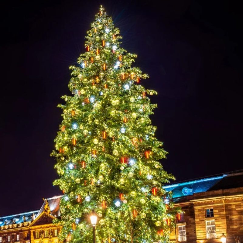 a Luco dei Marsi torna lo scintillante "Natale sotto l'Albero"