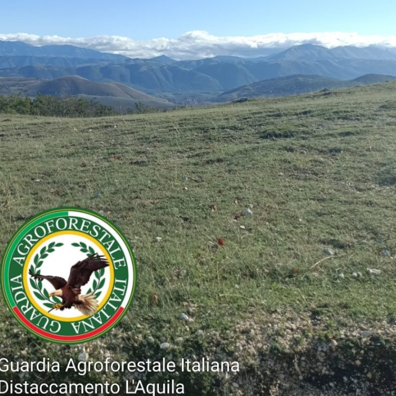 Guardia Agroforestale Italiana ODV ETS