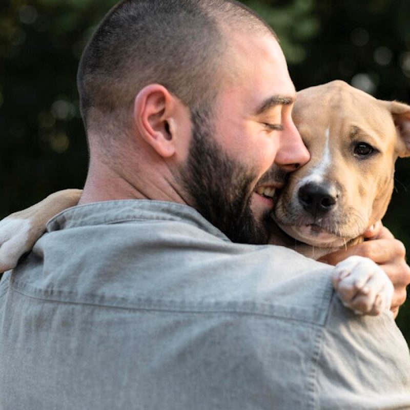 L'Abruzzo nomina il Garante regionale per i diritti degli animali: aperte le candidature