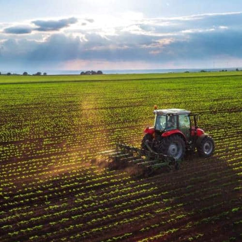 carburante agricolo